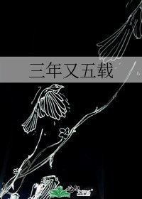 三年又五載