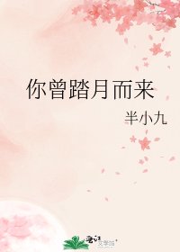 你曾踏月而來